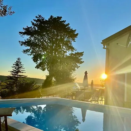 Porto Olive * Secovlje