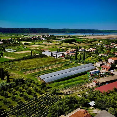 Porto Olive Villa Secovlje